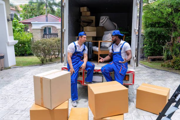 Professional goods move service use truck carry personal belongings door to door transport delivery handover boxes luggage one by one and keep stack on the floor before transfer to place in house